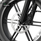 TST® Carrier 20'' Cargo Electric Bike