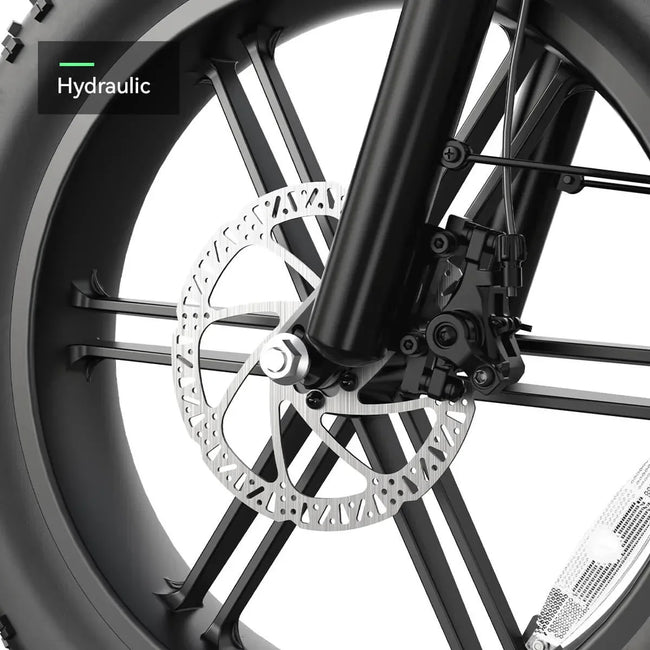 TST® Carrier 20'' Cargo Electric Bike